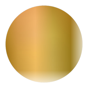 红枫树苗庭院红舞姬盆栽正宗日本原生黄金枫室内中国三季红枫小苗