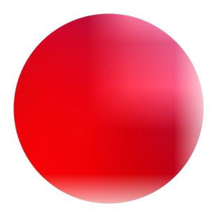 玉兰花树苗大型庭院红黄紫白玉兰树苗盆栽绿化苗木风景景观树苗