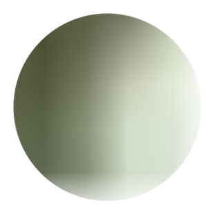 嫁接苗 金枝槐  庭院别墅绿化树苗木黄金槐 垂槐 龙爪槐