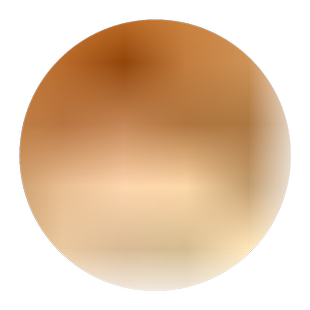 无籽砂糖橘苗橘子树砂糖橘树苗盆地栽桔子树苗南方果树橙柚橘子苗