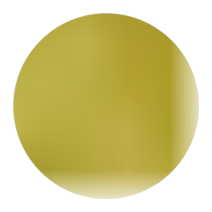 大果脆皮桔滑皮带果发金桔苗嫁接苗金钱桔苗金桔橘子树苗当年结果