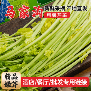包邮 青岛平度马家沟芹菜 顺丰 年终亏本冲量 精品嫩芹 新鲜蔬菜