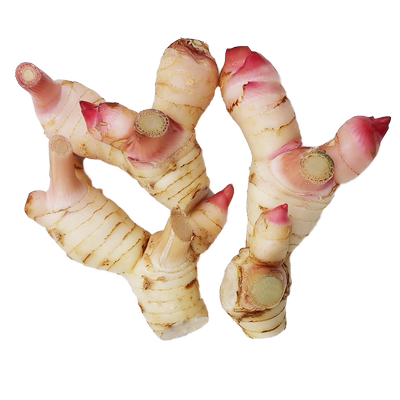 新鲜白皮南姜泰国餐厅味料香料