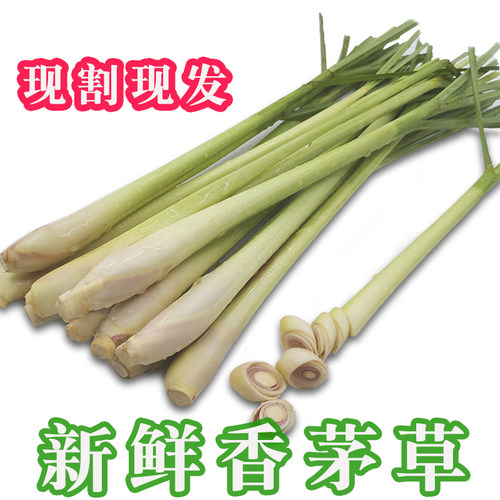 新鲜香茅 柠檬草 5斤/8斤 奶茶店冬阴功汤料泰式香料调料 - 封面