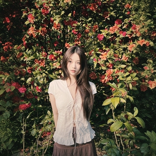 法式v领蕾丝边系带短袖衬衫女夏季设计感气质修身短款白色上衣薄