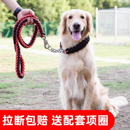 狗狗牵引绳大中型犬金毛拉布拉多狗绳子防咬断狗链子狗脖圈p绳p链