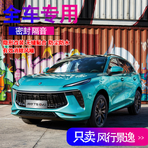东风风行t5evot5lsx6车门密封条
