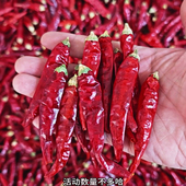 新货自然晒干干辣椒特辣香辣微辣魔鬼辣 辣椒面辣椒段特辣辣椒 包邮