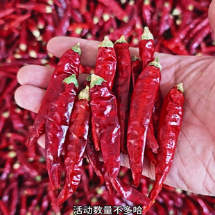 新货自然晒干干辣椒特辣香辣微辣魔鬼辣包邮辣椒面辣椒段特辣辣椒