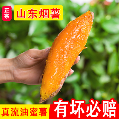 山东蜜薯烟薯25号糖心红薯新鲜10斤红心番薯沙地香薯烤地瓜甜山芋