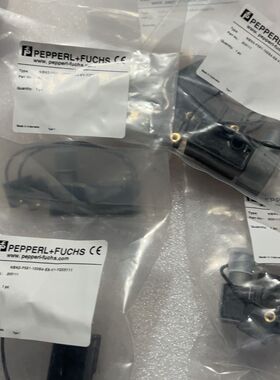 NBN2-F581-100S4-E8-V1-Y203111