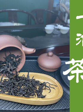 热销款特级春茶凤凰高山茶