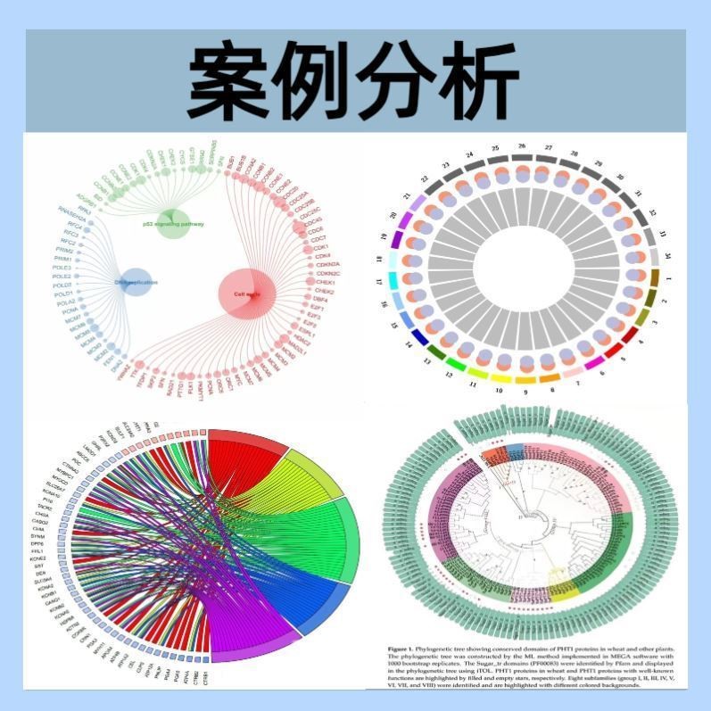 基因测序结果序列分析服务高通量数据分析生信零代码数据挖掘教程