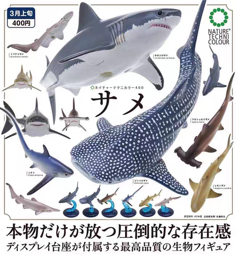 现货 奇谭俱乐部 NTC海洋生物 鲨鱼鲸鲨 大白鲨 底座摆件日本扭蛋