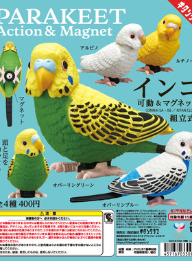现货日本正版扭蛋 奇谭KITAN 鹦鹉小鸟冰箱贴 组立式磁吸鹦鹉摆件