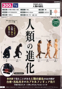 现货 日本 TAMA-KYU 扭蛋人类进化史过程 猿人山顶洞人收藏摆件