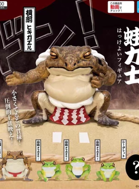 现货 正版日本QUALIA扭蛋  相扑青蛙 蛙类 模型 摆件