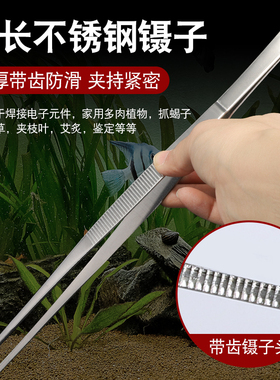 不锈钢加长镊子鱼缸水草加厚防滑镊子直头弯头多肉工具维修长镊子