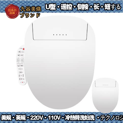 中国台湾110V智能坐便盖板臀妇洗