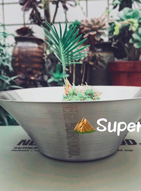 包邮NBHD户外花盆植物种植栽培水培观赏花盆不锈钢耐用轻便不渗水