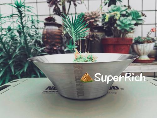 包邮NBHD户外花盆植物种植栽培水培观赏花盆不锈钢耐用轻便不渗水