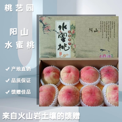 阳山水蜜桃当季水果甜蜜多汁孕妇宝宝优选单果4两软桃礼盒整箱