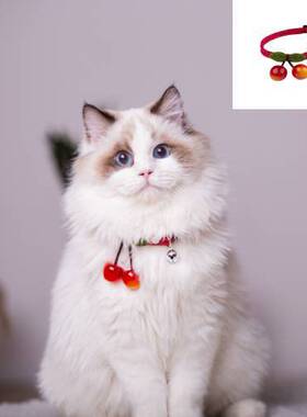网红宠物项圈猫咪樱桃可爱围脖颈圈猫咪奶猫中小型犬狗狗铃铛项圈