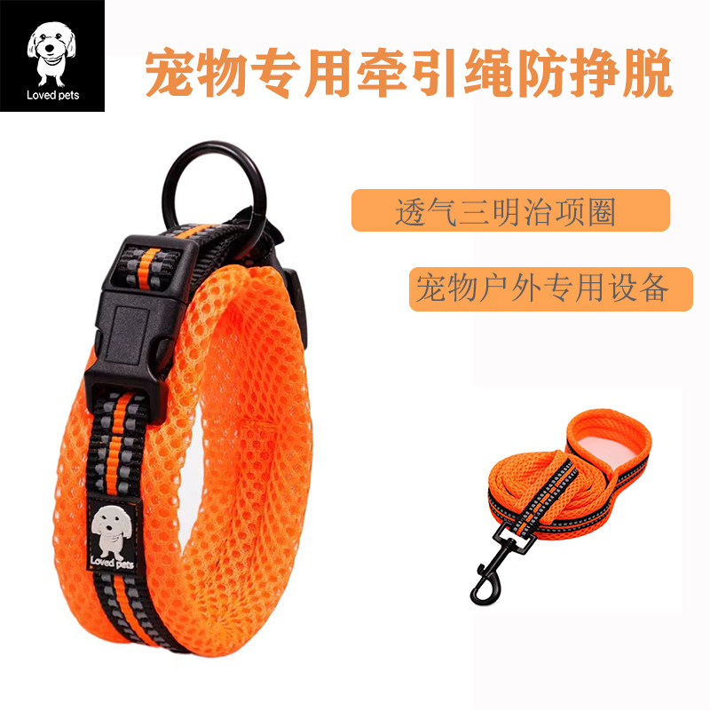 狗项圈牵引绳防勒脖防挣脱