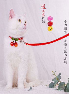 2米3米5米加长幼猫幼犬牵引绳套脖铃铛可爱项圈式遛猫绳遛狗猫绳
