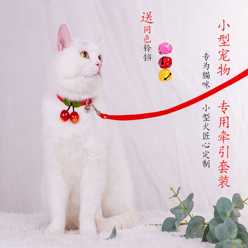 2米加长幼犬牵引铃铛可爱遛猫绳