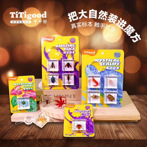 titigood昆虫模块3岁+认知玩具
