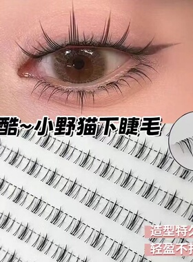 12排大容量妈生自然款小火苗漫画睫毛新手透明单簇假睫毛夹心芭比