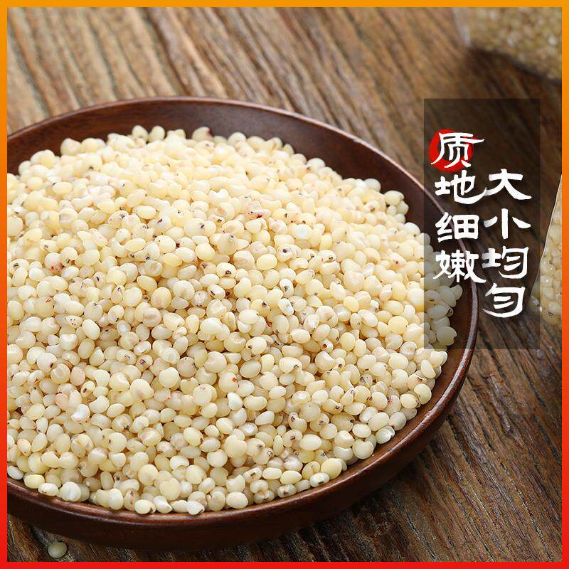 高粱米白高粱脱皮红高粱五谷杂粮食用东北农家高粱米饭500g