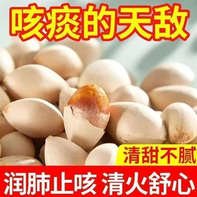 2025年新鲜大颗带壳白果