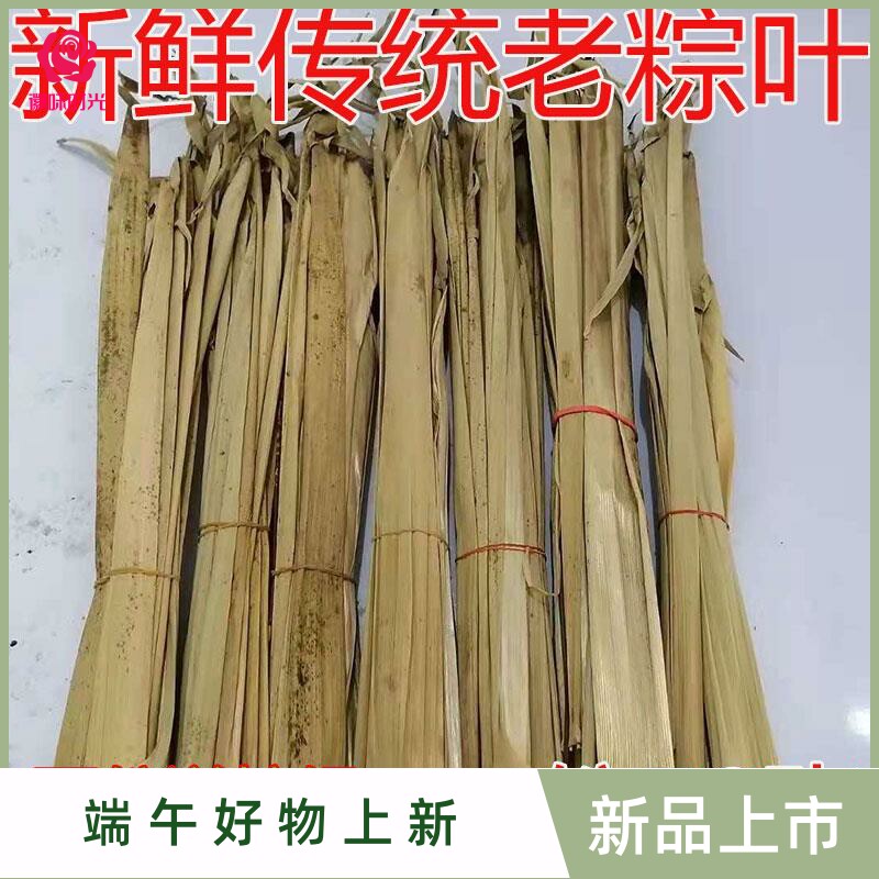 河南信阳大粽叶端午节天然野生粽绳干毛竹叶楠竹壳包邮五十张老林