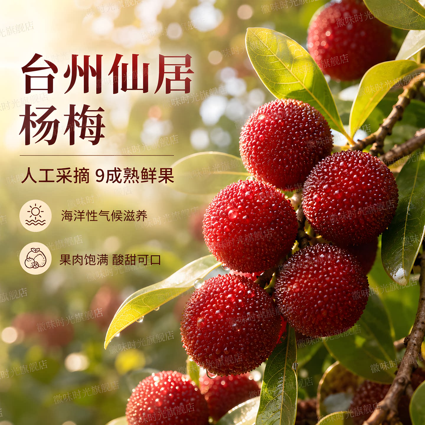 正宗仙居杨梅干酸甜自晒小包装