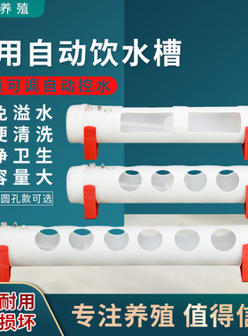 鸡用饮水自 鸡备用品鸡喝水饮器饮槽器鸭鹅动喂水器养设喂的水水