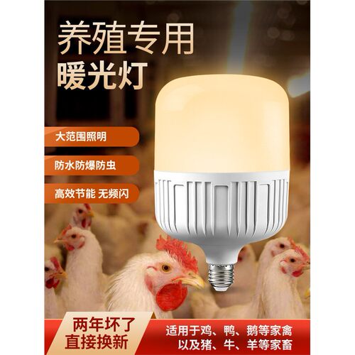 养殖场专用照明led灯暖光