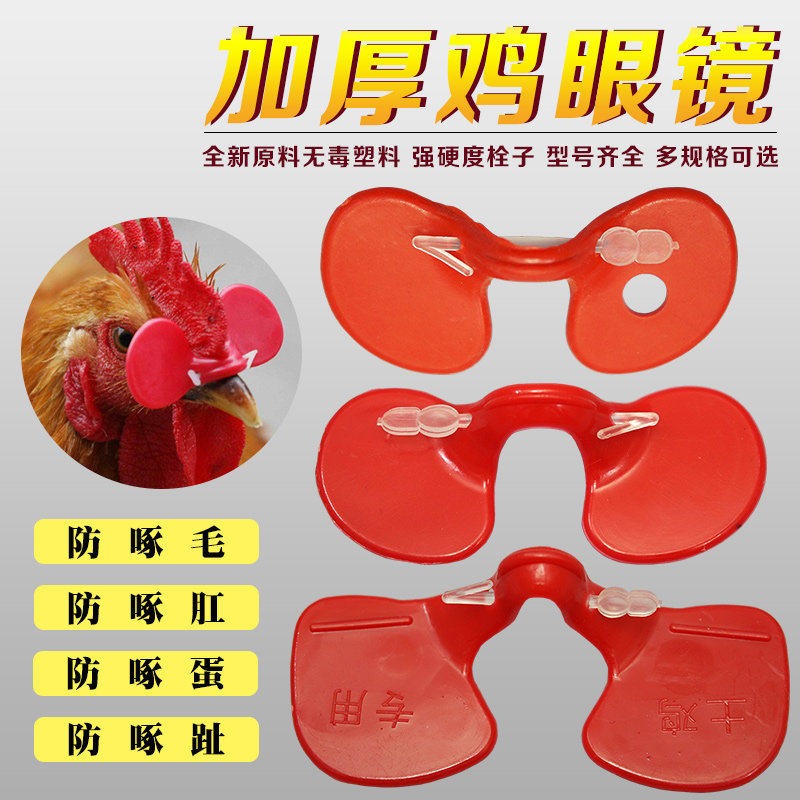 鸡眼镜防啄罩大中小号无