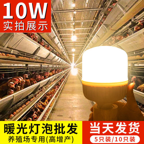 暖黄光LED灯泡养殖场专用