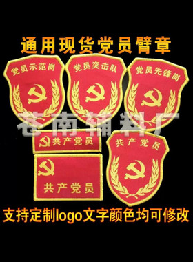 党员突击队臂章党员先锋示范岗袖章青年安全生产袖标青年志愿者