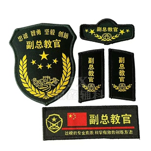 学校臂章定做安全员总教官臂章 教官臂章校卫班臂章胸牌领章魔术