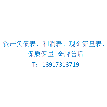 代做财务报表资产负债表 利润表 现金流量表 银行贷款招投标报告