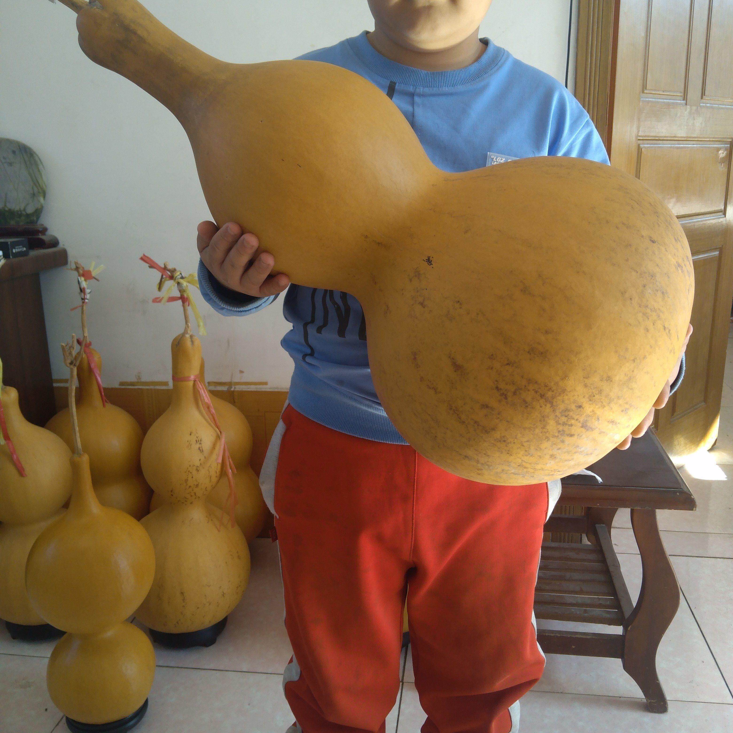 2022大葫芦特大摆件巨型挂件天然客厅亚腰八宝精品文玩带底座龙头