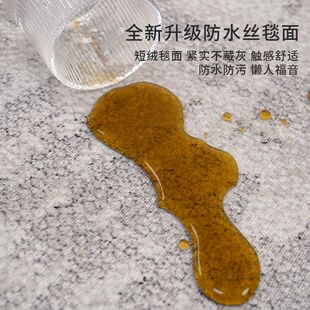 家用卧室沙发地毯茶几地垫 客厅地毯轻奢高级感防水可擦2024新款