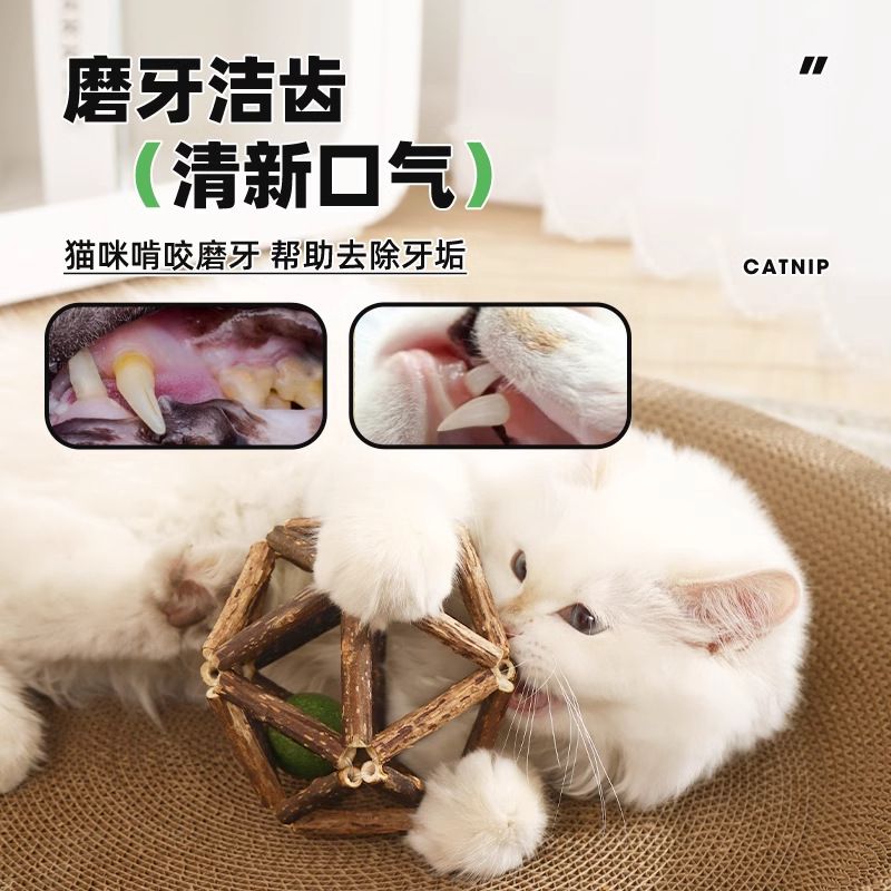 巨无霸猫薄荷球猫猫玩具自嗨逗猫