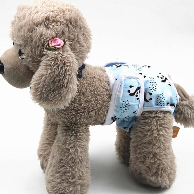 亚马逊宠物狗生理裤狗狗尿垫宠物吸水垫狗尿布公狗生理裤,女士内衣/男士内衣/家居服,生理裤,淘宝优惠券,粉丝福利购,淘宝优惠卷