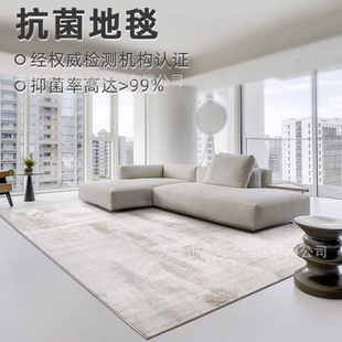 抑菌地毯客厅轻奢高级感环保抽象简约沙发茶几垫家用卧室满铺 意式