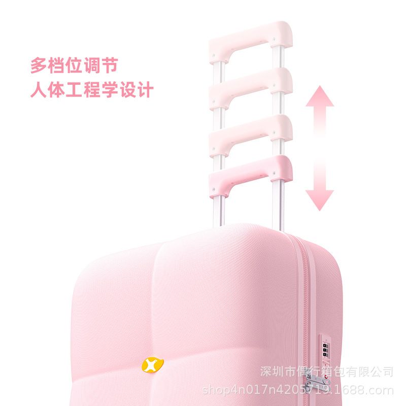 跨境爆款20寸拉杆箱高颜值大容量