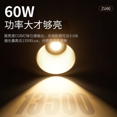 60W手持外拍灯COB大功率补光灯摄